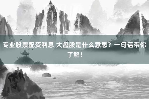 专业股票配资利息 大盘股是什么意思？一句话带你了解！