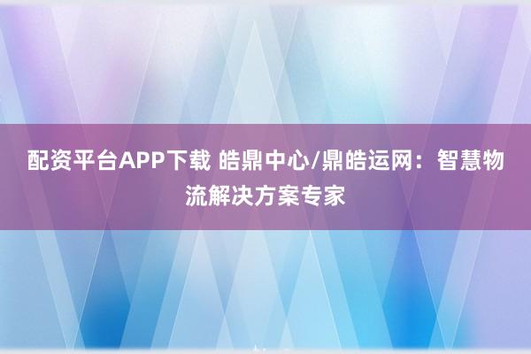 配资平台APP下载 皓鼎中心/鼎皓运网：智慧物流解决方案专家