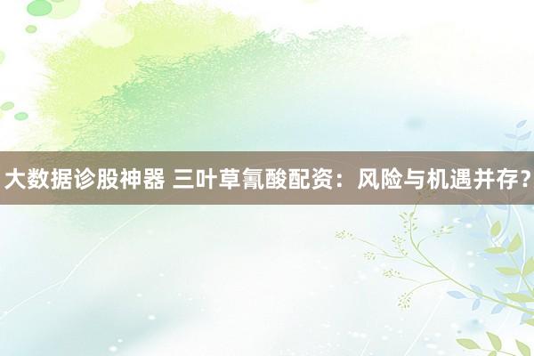 大数据诊股神器 三叶草氰酸配资：风险与机遇并存？