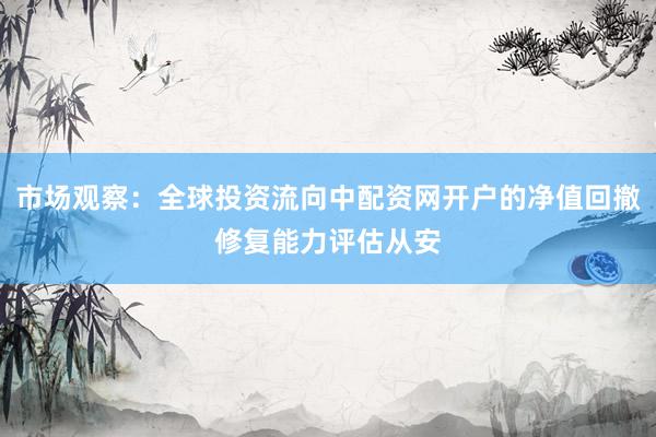 市场观察：全球投资流向中配资网开户的净值回撤修复能力评估从安