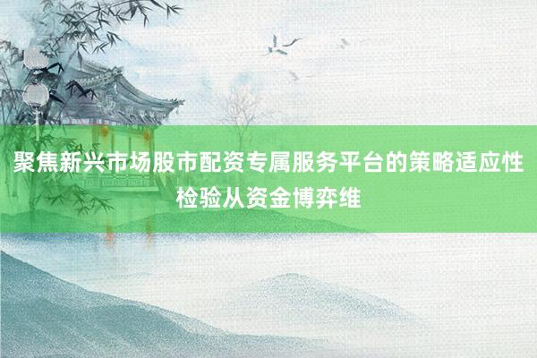 聚焦新兴市场股市配资专属服务平台的策略适应性检验从资金博弈维